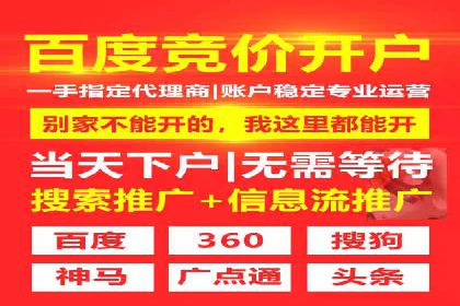 SEO与SEM优化案例：助力企业实现品牌升级